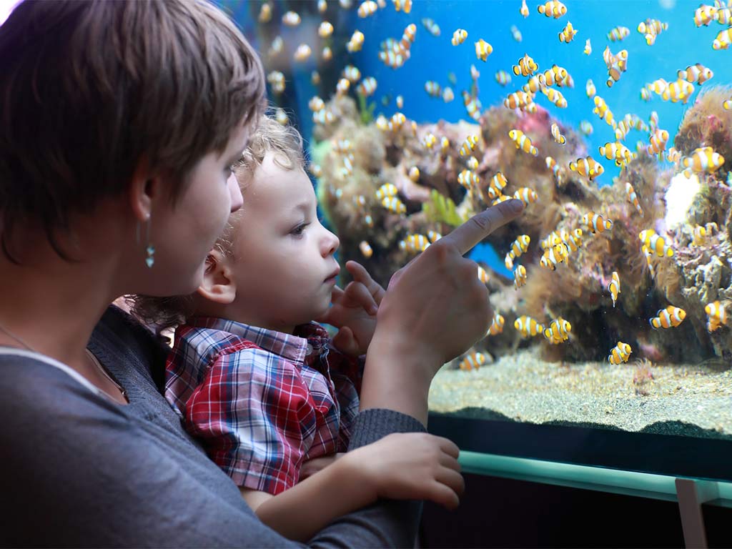 FIBALON plus Mutter mit Kind vor Aquarium